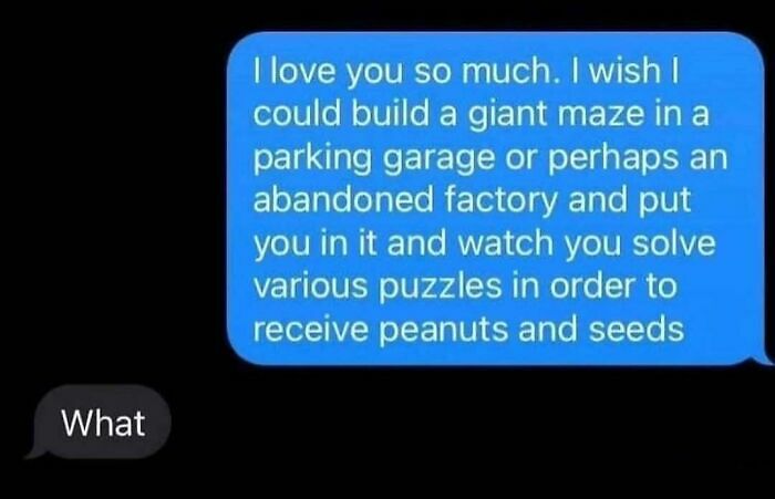 52 Funny Memes For Anyone Fluent In Sarcasm And Unhinged Humor