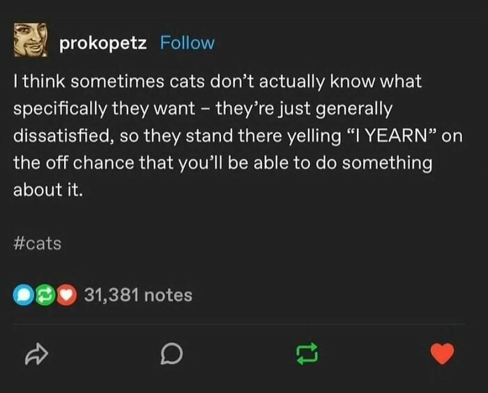 52 Funny Memes For Anyone Fluent In Sarcasm And Unhinged Humor