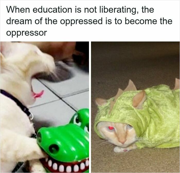 52 Funny Memes For Anyone Fluent In Sarcasm And Unhinged Humor