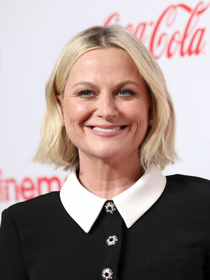 Amy Poehler: Bio And Career Highlights