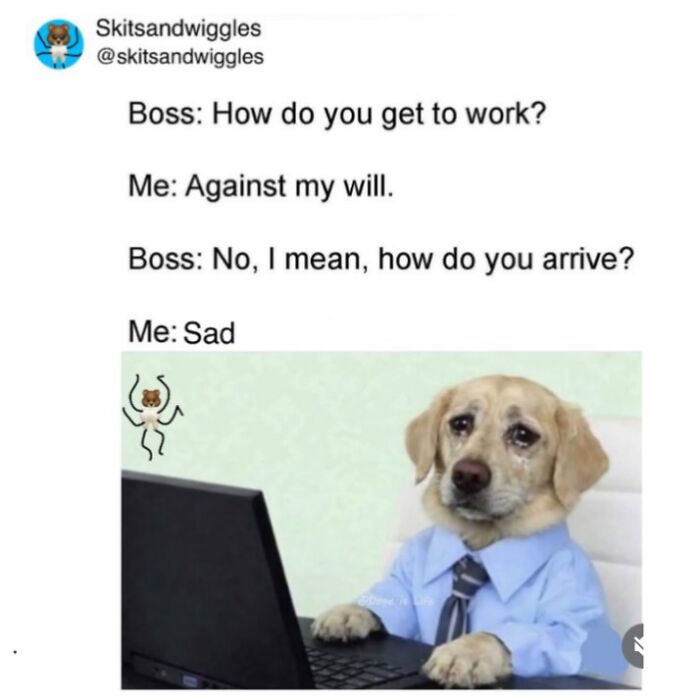 73 Funny And Chaotic Memes For When Life Gets Too Serious 73 Funny And Chaotic Memes For When Life Gets Too Serious