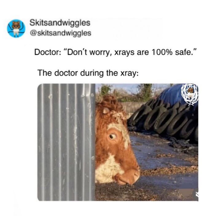 73 Funny And Chaotic Memes For When Life Gets Too Serious 73 Funny And Chaotic Memes For When Life Gets Too Serious