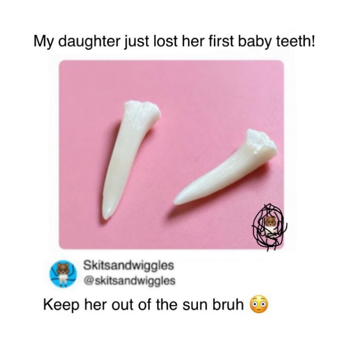 73 Funny And Chaotic Memes For When Life Gets Too Serious 73 Funny And Chaotic Memes For When Life Gets Too Serious
