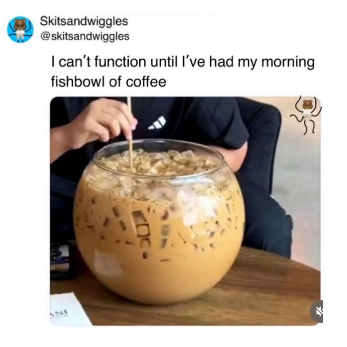 73 Funny And Chaotic Memes For When Life Gets Too Serious 73 Funny And Chaotic Memes For When Life Gets Too Serious