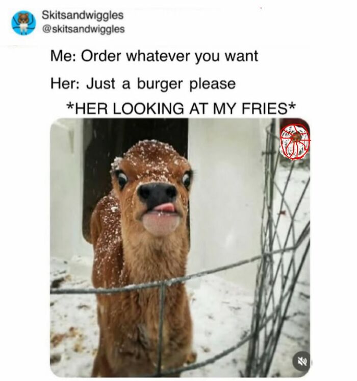 73 Funny And Chaotic Memes For When Life Gets Too Serious 73 Funny And Chaotic Memes For When Life Gets Too Serious