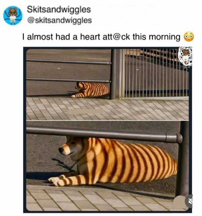 73 Funny And Chaotic Memes For When Life Gets Too Serious 73 Funny And Chaotic Memes For When Life Gets Too Serious