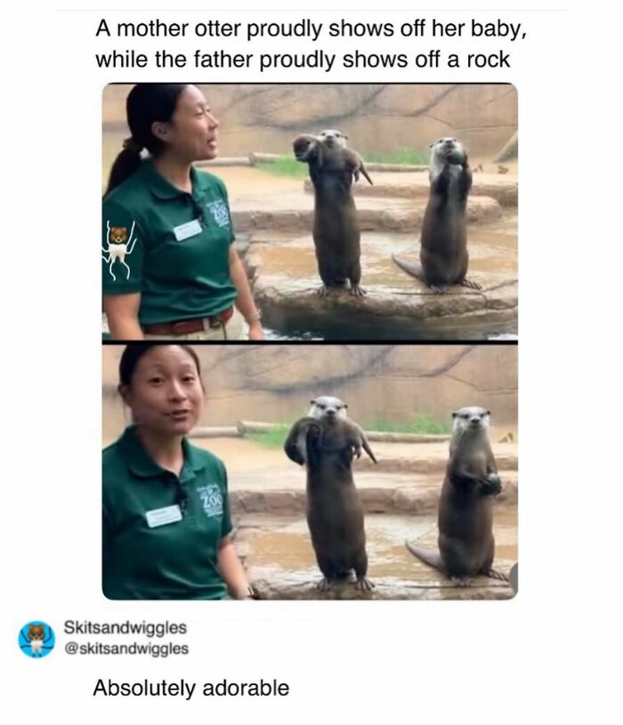 73 Funny And Chaotic Memes For When Life Gets Too Serious 73 Funny And Chaotic Memes For When Life Gets Too Serious