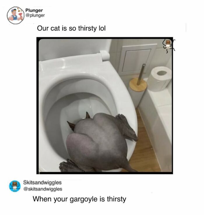 73 Funny And Chaotic Memes For When Life Gets Too Serious 73 Funny And Chaotic Memes For When Life Gets Too Serious
