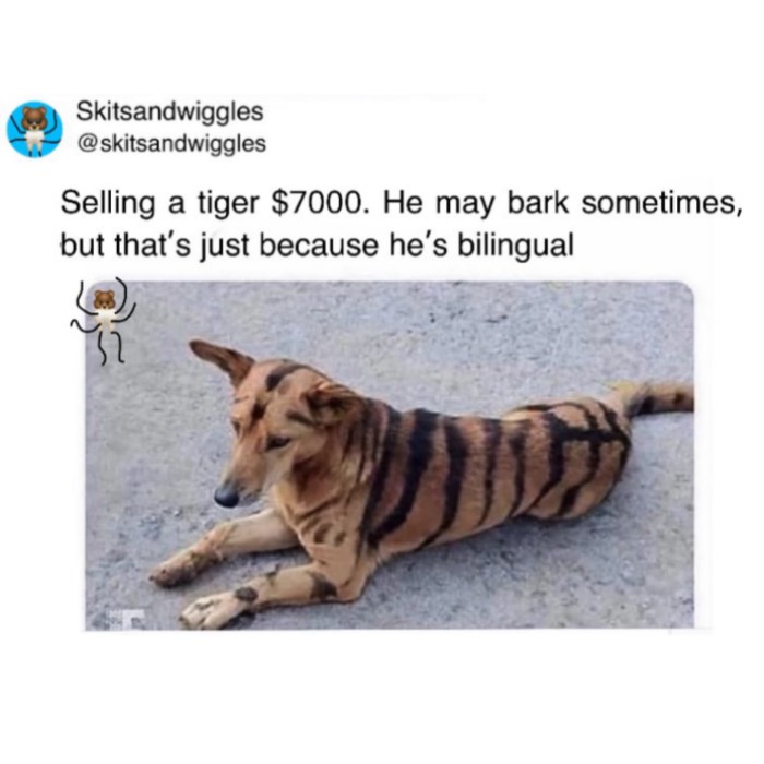 73 Funny And Chaotic Memes For When Life Gets Too Serious 73 Funny And Chaotic Memes For When Life Gets Too Serious