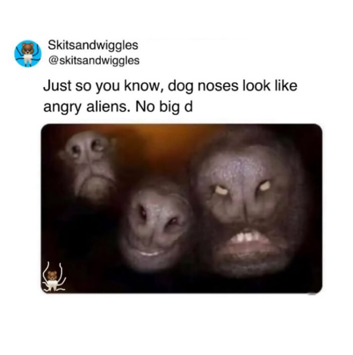 73 Funny And Chaotic Memes For When Life Gets Too Serious 73 Funny And Chaotic Memes For When Life Gets Too Serious