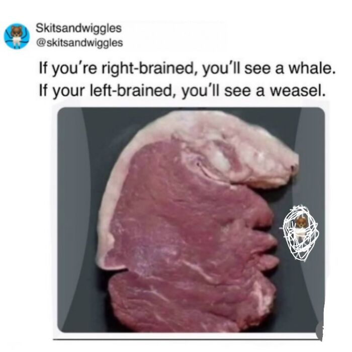73 Funny And Chaotic Memes For When Life Gets Too Serious 73 Funny And Chaotic Memes For When Life Gets Too Serious