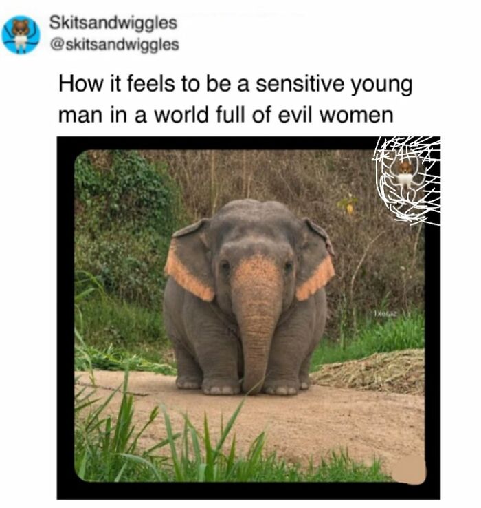 73 Funny And Chaotic Memes For When Life Gets Too Serious 73 Funny And Chaotic Memes For When Life Gets Too Serious