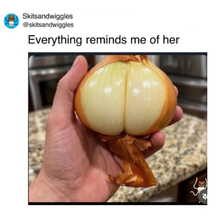 73 Funny And Chaotic Memes For When Life Gets Too Serious 73 Funny And Chaotic Memes For When Life Gets Too Serious