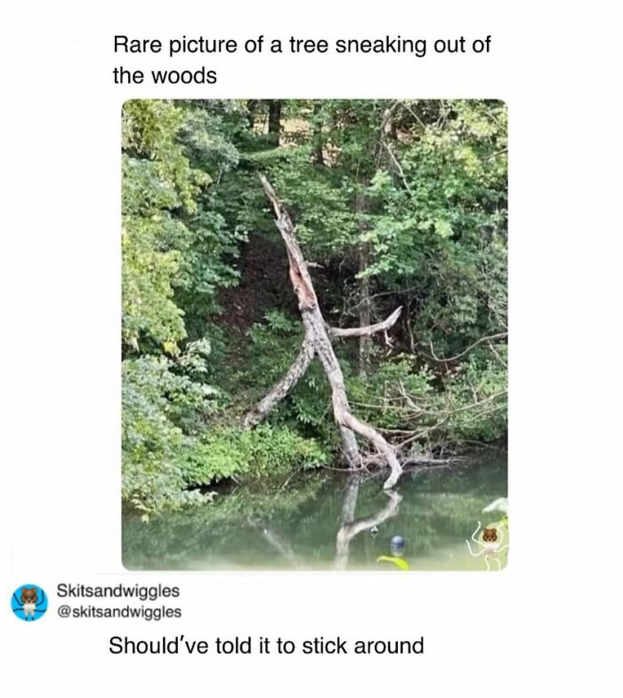 73 Funny And Chaotic Memes For When Life Gets Too Serious 73 Funny And Chaotic Memes For When Life Gets Too Serious