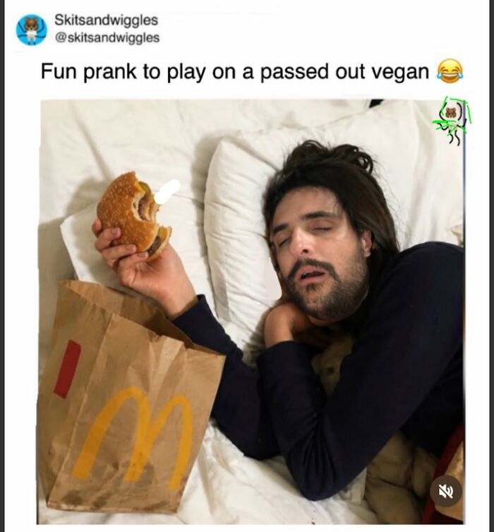 73 Funny And Chaotic Memes For When Life Gets Too Serious 73 Funny And Chaotic Memes For When Life Gets Too Serious