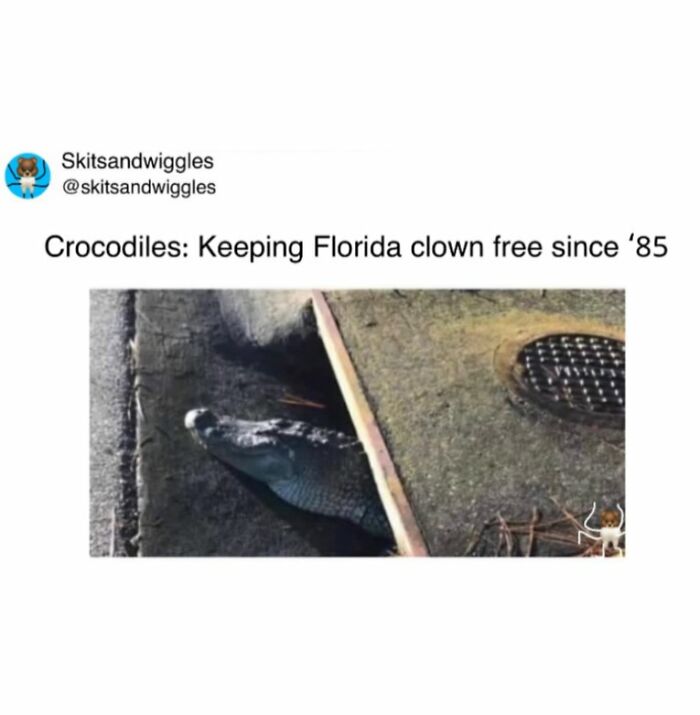 73 Funny And Chaotic Memes For When Life Gets Too Serious 73 Funny And Chaotic Memes For When Life Gets Too Serious