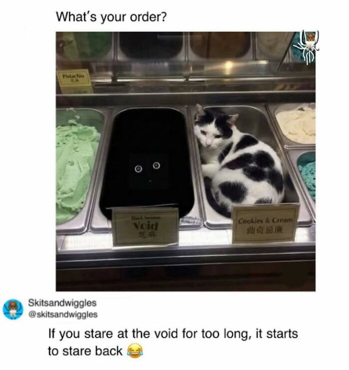 73 Funny And Chaotic Memes For When Life Gets Too Serious 73 Funny And Chaotic Memes For When Life Gets Too Serious