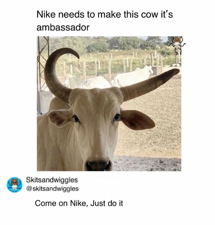 73 Funny And Chaotic Memes For When Life Gets Too Serious 73 Funny And Chaotic Memes For When Life Gets Too Serious
