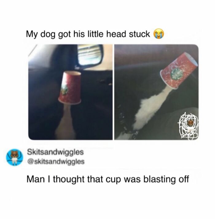 73 Funny And Chaotic Memes For When Life Gets Too Serious 73 Funny And Chaotic Memes For When Life Gets Too Serious