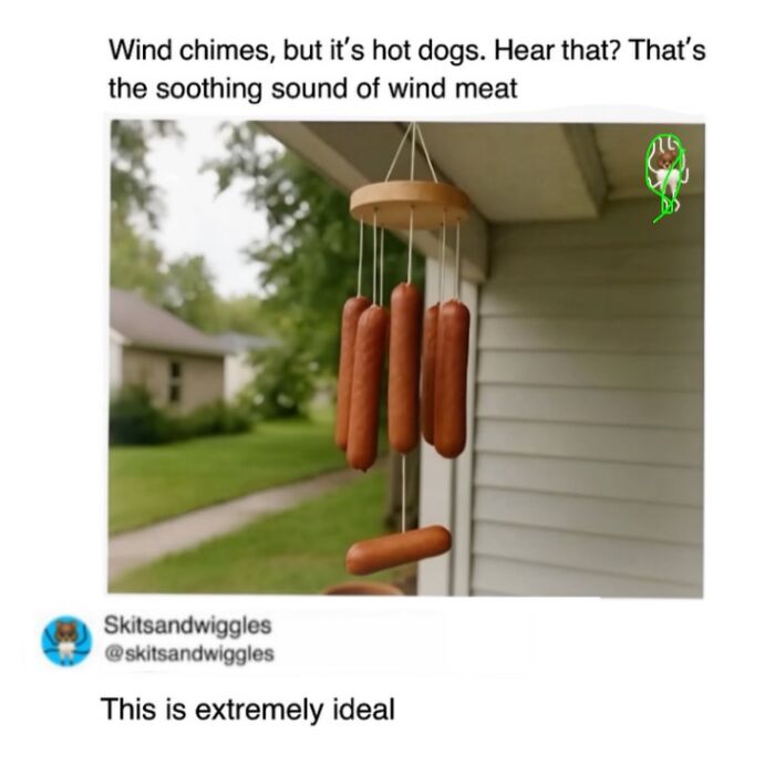 73 Funny And Chaotic Memes For When Life Gets Too Serious 73 Funny And Chaotic Memes For When Life Gets Too Serious