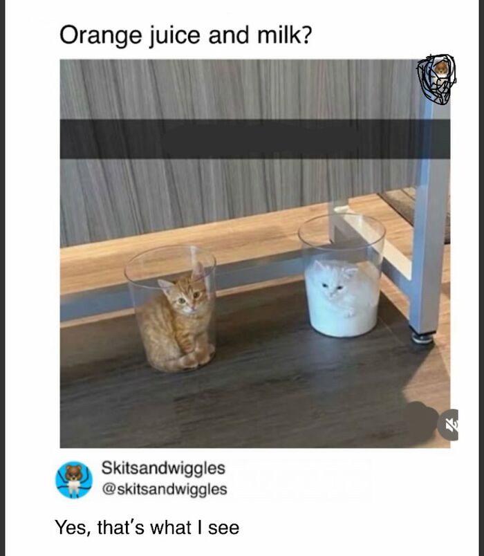 73 Funny And Chaotic Memes For When Life Gets Too Serious 73 Funny And Chaotic Memes For When Life Gets Too Serious