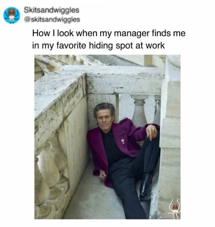 73 Funny And Chaotic Memes For When Life Gets Too Serious 73 Funny And Chaotic Memes For When Life Gets Too Serious