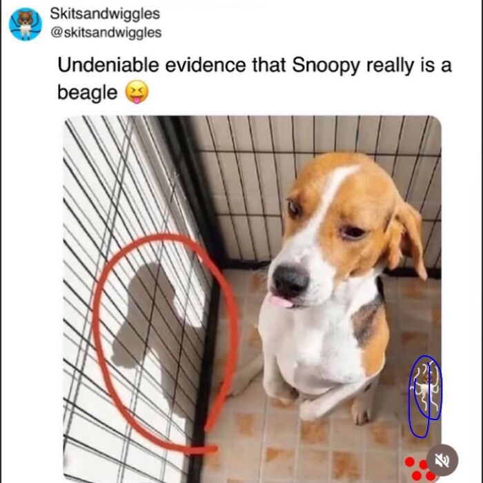 73 Funny And Chaotic Memes For When Life Gets Too Serious 73 Funny And Chaotic Memes For When Life Gets Too Serious