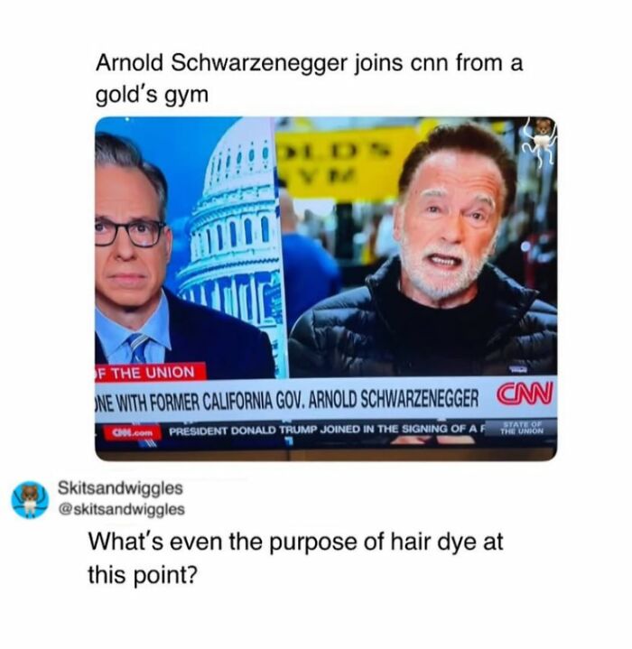 73 Funny And Chaotic Memes For When Life Gets Too Serious 73 Funny And Chaotic Memes For When Life Gets Too Serious