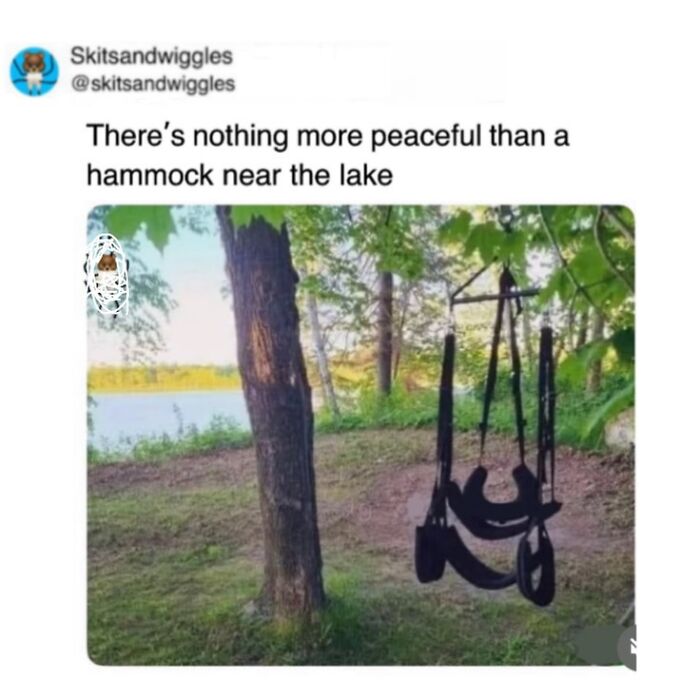 73 Funny And Chaotic Memes For When Life Gets Too Serious 73 Funny And Chaotic Memes For When Life Gets Too Serious