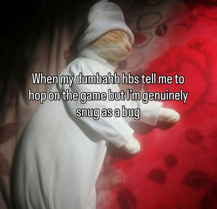 70 Funny Posts From The “Of Course Cats” Page 70 Funny Posts From The “Of Course Cats” Page
