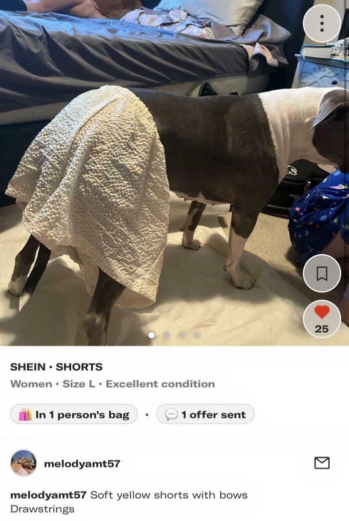 82 Unhinged Depop Sellers And Buyers Who Made Shopping Secondhand An Unexpected Adventure