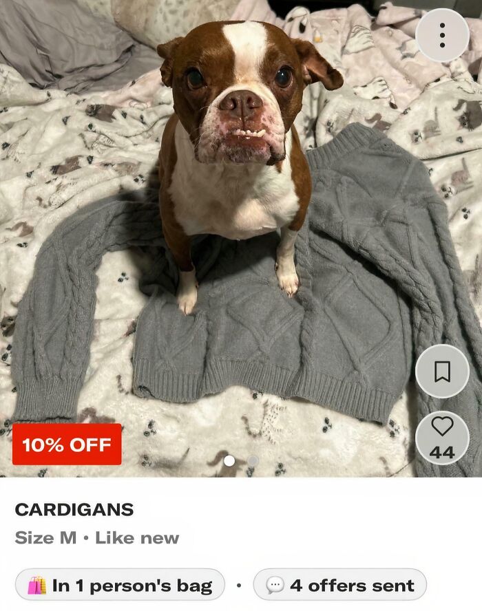 82 Unhinged Depop Sellers And Buyers Who Made Shopping Secondhand An Unexpected Adventure