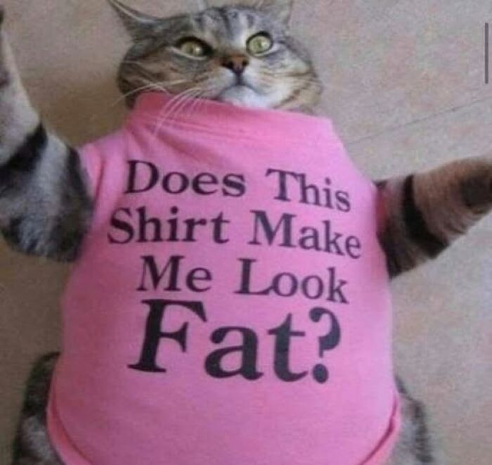 61 Ridiculous And Unhinged T-Shirts That Might Make You Wonder Who Made Them 61 Ridiculous And Unhinged T-Shirts That Might Make You Wonder Who Made Them