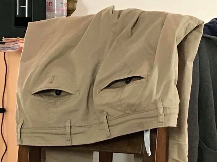 61 Ridiculous And Unhinged T-Shirts That Might Make You Wonder Who Made Them 61 Ridiculous And Unhinged T-Shirts That Might Make You Wonder Who Made Them