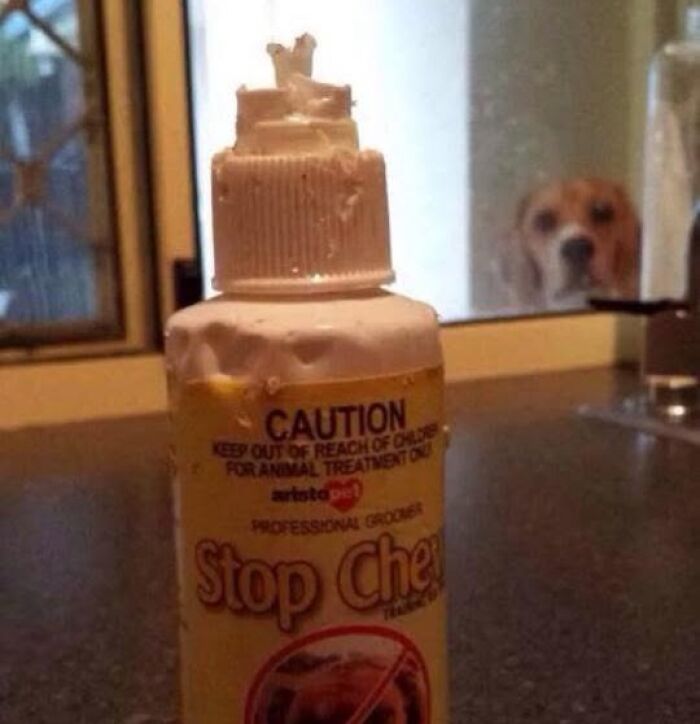 51 Unbelievable Fails That Are So Ridiculous People Had To Share With Everyone 51 Unbelievable Fails That Are So Ridiculous People Had To Share With Everyone