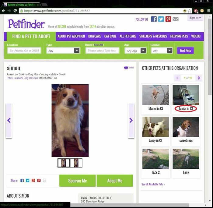 51 Unbelievable Fails That Are So Ridiculous People Had To Share With Everyone 51 Unbelievable Fails That Are So Ridiculous People Had To Share With Everyone