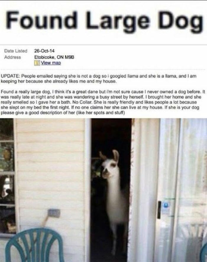 51 Unbelievable Fails That Are So Ridiculous People Had To Share With Everyone 51 Unbelievable Fails That Are So Ridiculous People Had To Share With Everyone