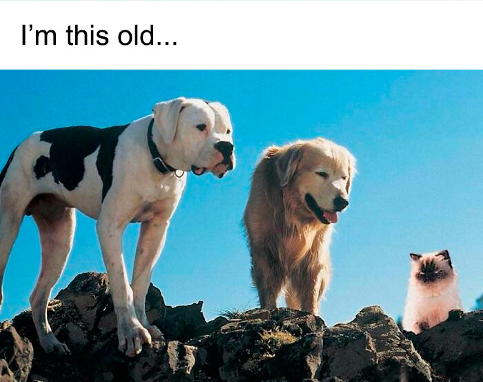 78 Things From The ’90s That Would Be Almost Impossible To Explain To Kids Today 78 Things From The ’90s That Would Be Almost Impossible To Explain To Kids Today