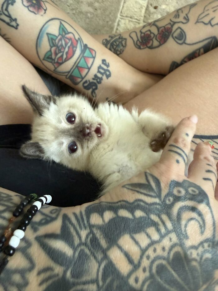 54 Times People Inked The Most Emotional Moments Of Their Lives Onto Their Skin 54 Times People Inked The Most Emotional Moments Of Their Lives Onto Their Skin