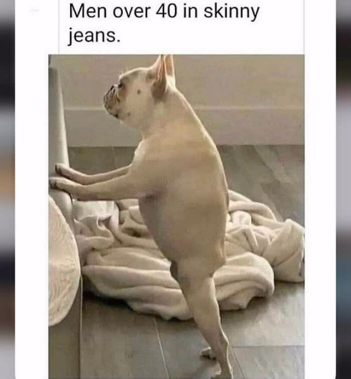 54 Hilarious Dog Memes That Prove Dogs Are Natural-Born Comedians, As Shared By This Page 54 Hilarious Dog Memes That Prove Dogs Are Natural-Born Comedians, As Shared By This Page