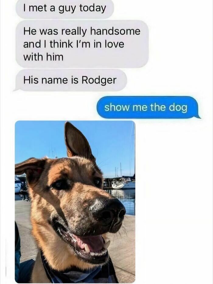54 Hilarious Dog Memes That Prove Dogs Are Natural-Born Comedians, As Shared By This Page 54 Hilarious Dog Memes That Prove Dogs Are Natural-Born Comedians, As Shared By This Page