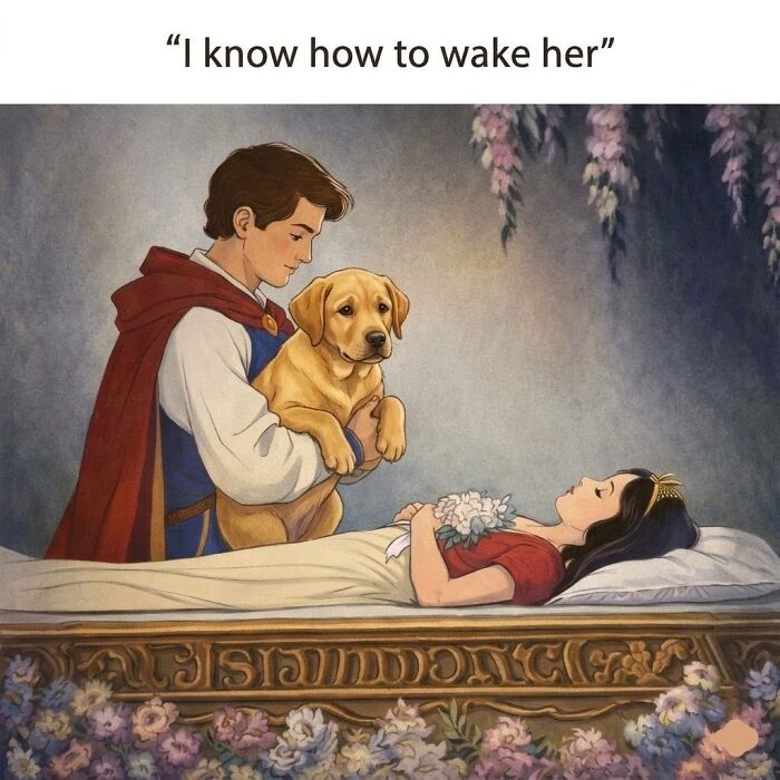 54 Hilarious Dog Memes That Prove Dogs Are Natural-Born Comedians, As Shared By This Page 54 Hilarious Dog Memes That Prove Dogs Are Natural-Born Comedians, As Shared By This Page