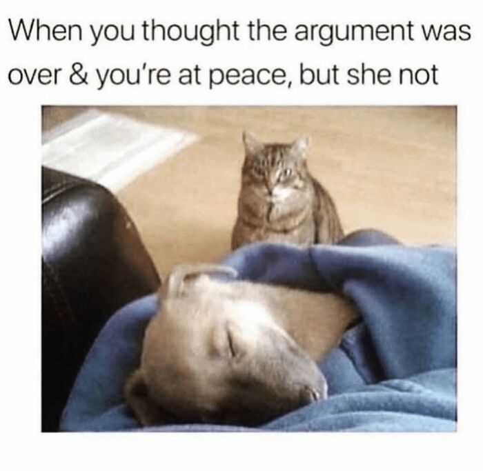 54 Hilarious Dog Memes That Prove Dogs Are Natural-Born Comedians, As Shared By This Page 54 Hilarious Dog Memes That Prove Dogs Are Natural-Born Comedians, As Shared By This Page