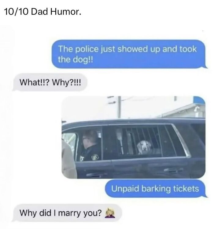54 Hilarious Dog Memes That Prove Dogs Are Natural-Born Comedians, As Shared By This Page 54 Hilarious Dog Memes That Prove Dogs Are Natural-Born Comedians, As Shared By This Page