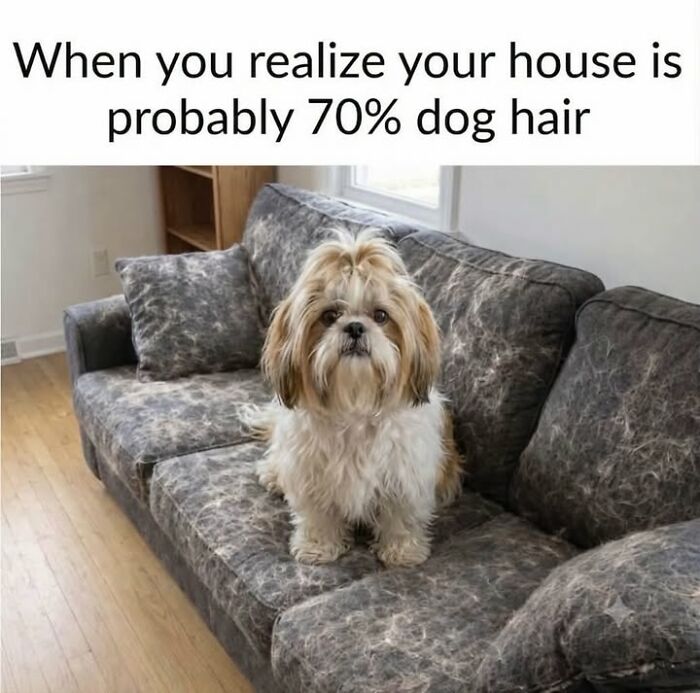 54 Hilarious Dog Memes That Prove Dogs Are Natural-Born Comedians, As Shared By This Page 54 Hilarious Dog Memes That Prove Dogs Are Natural-Born Comedians, As Shared By This Page