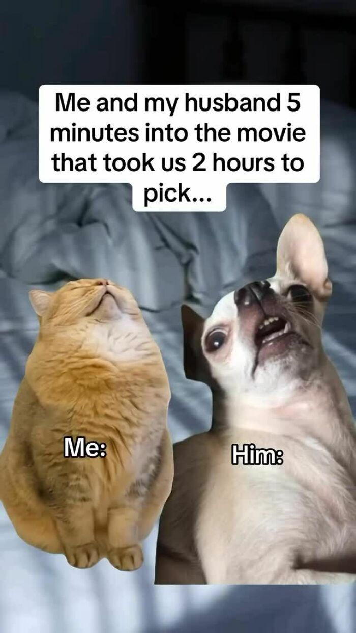 54 Hilarious Dog Memes That Prove Dogs Are Natural-Born Comedians, As Shared By This Page 54 Hilarious Dog Memes That Prove Dogs Are Natural-Born Comedians, As Shared By This Page