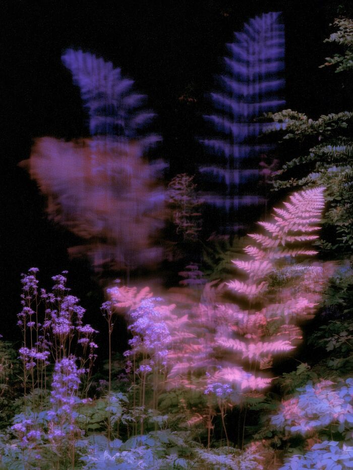 28 Dreamlike Works By Lela Amparo Where Ambient Music Meets Otherworldly Visuals