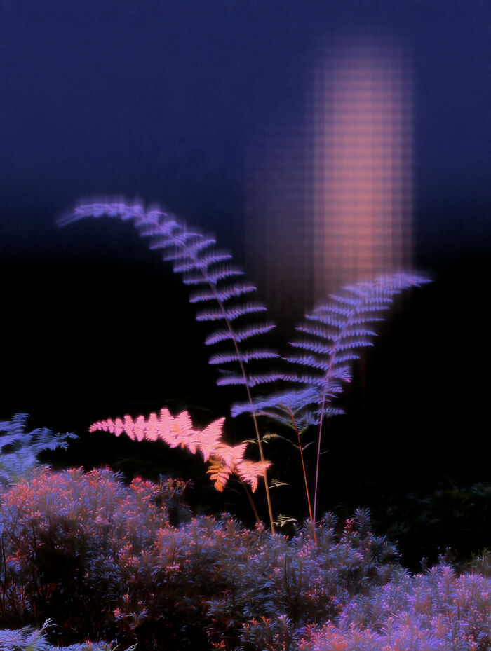 28 Dreamlike Works By Lela Amparo Where Ambient Music Meets Otherworldly Visuals