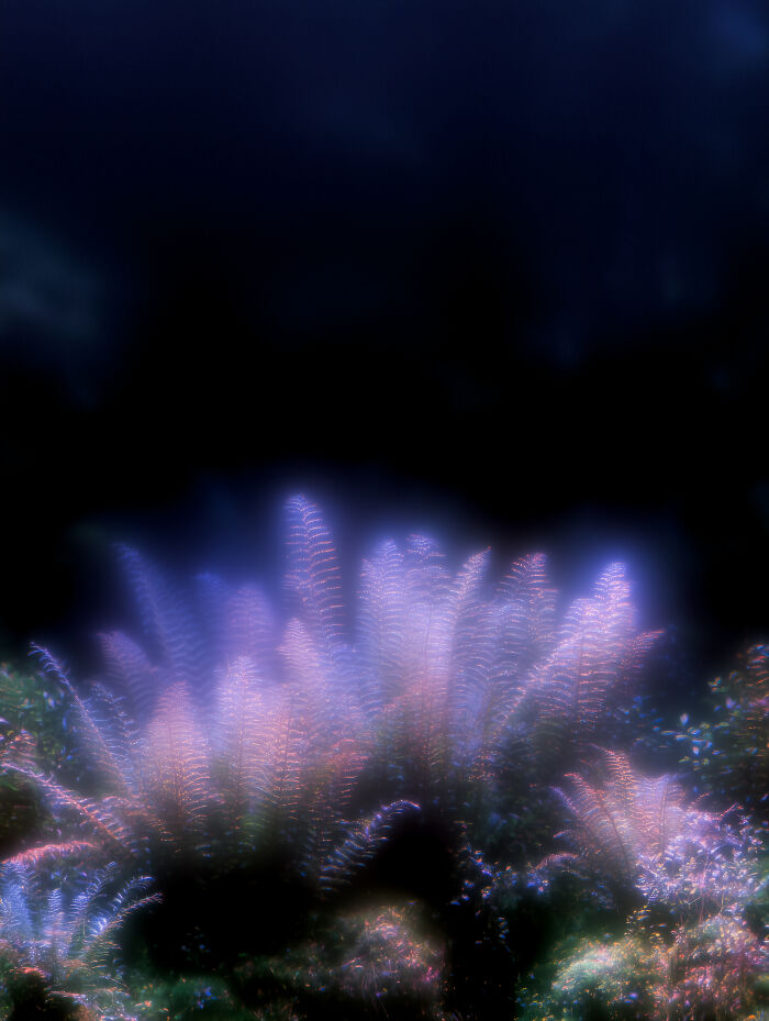 28 Dreamlike Works By Lela Amparo Where Ambient Music Meets Otherworldly Visuals