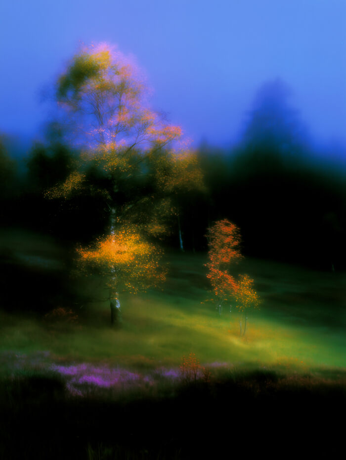 28 Dreamlike Works By Lela Amparo Where Ambient Music Meets Otherworldly Visuals